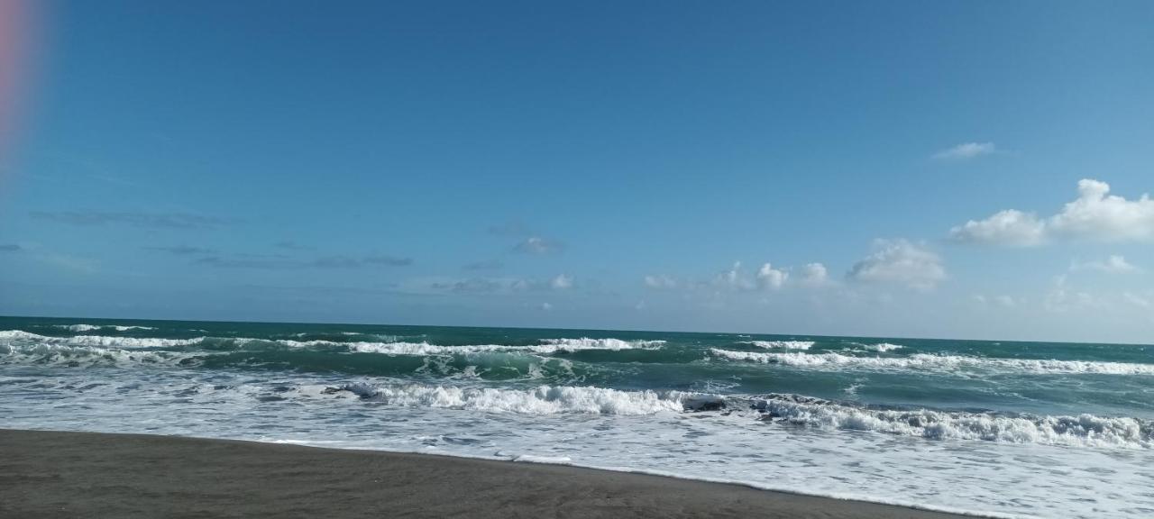 Opotiki - Waiotahe Drifts Beach Pod Екстер'єр фото